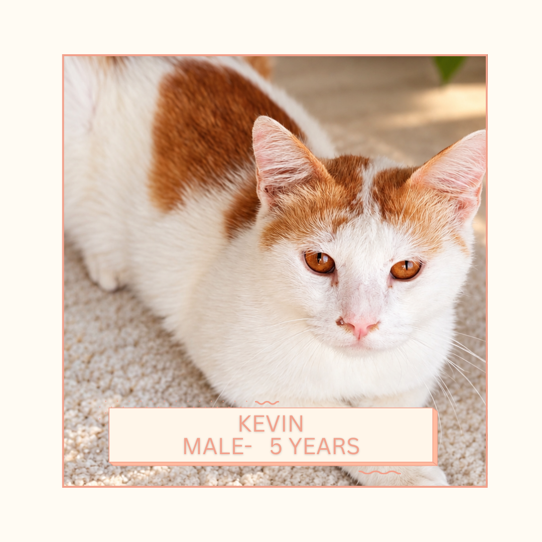 Kevin