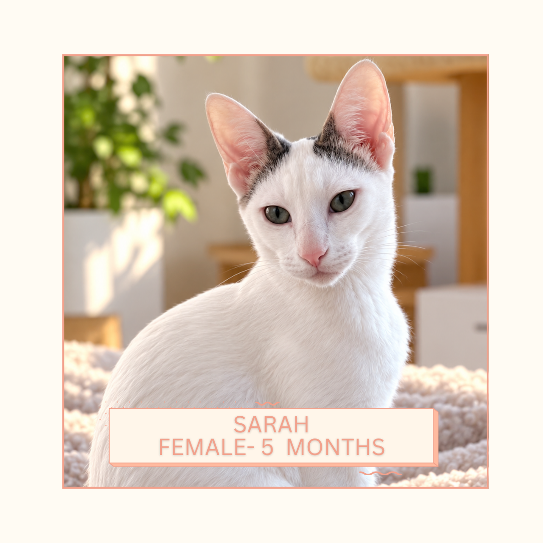 Sarah