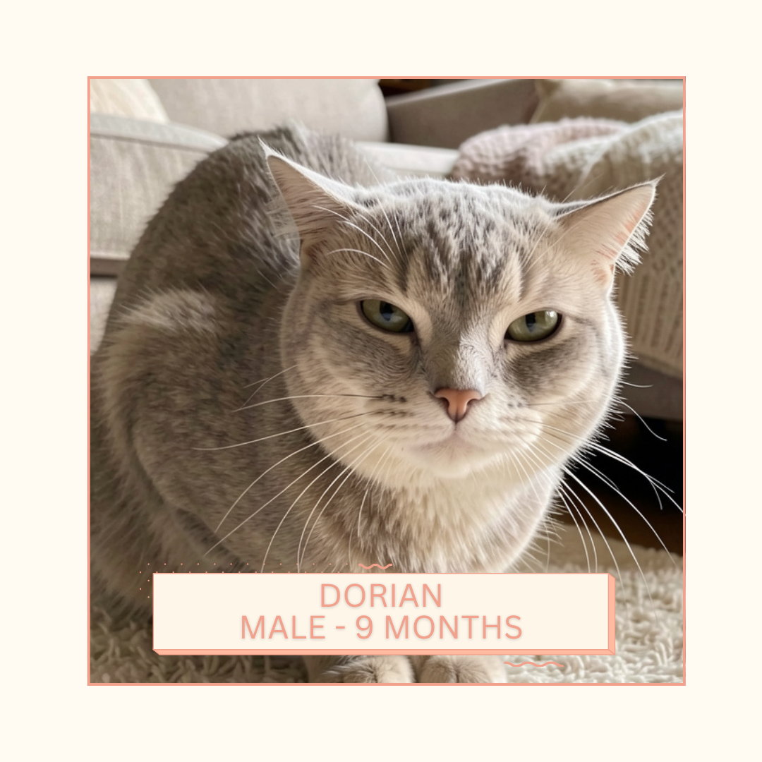 Dorian