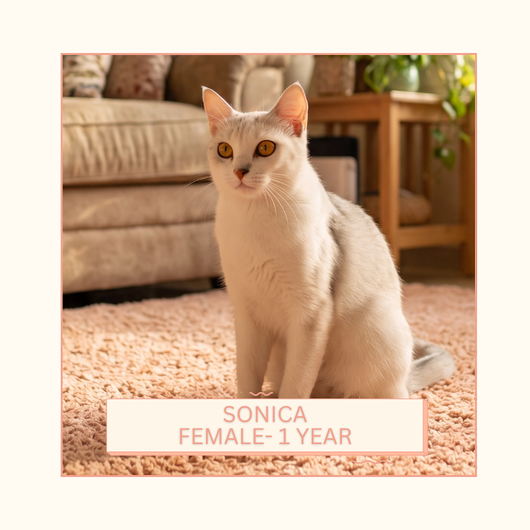 Sonica