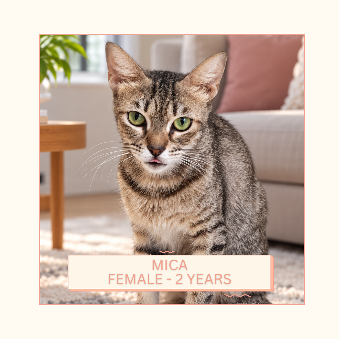 Mica