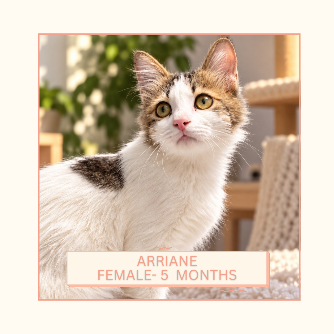 Arriane