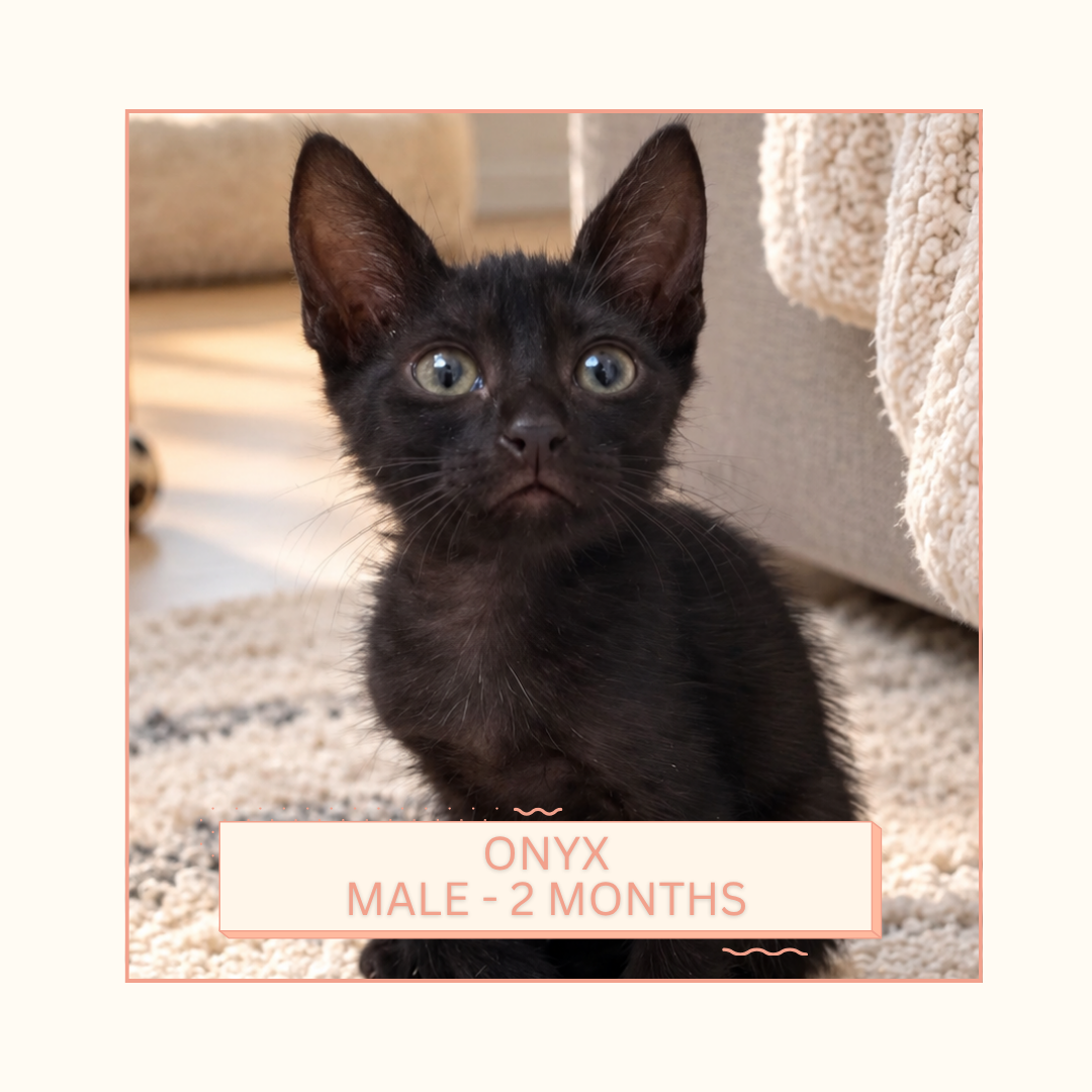 Onyx