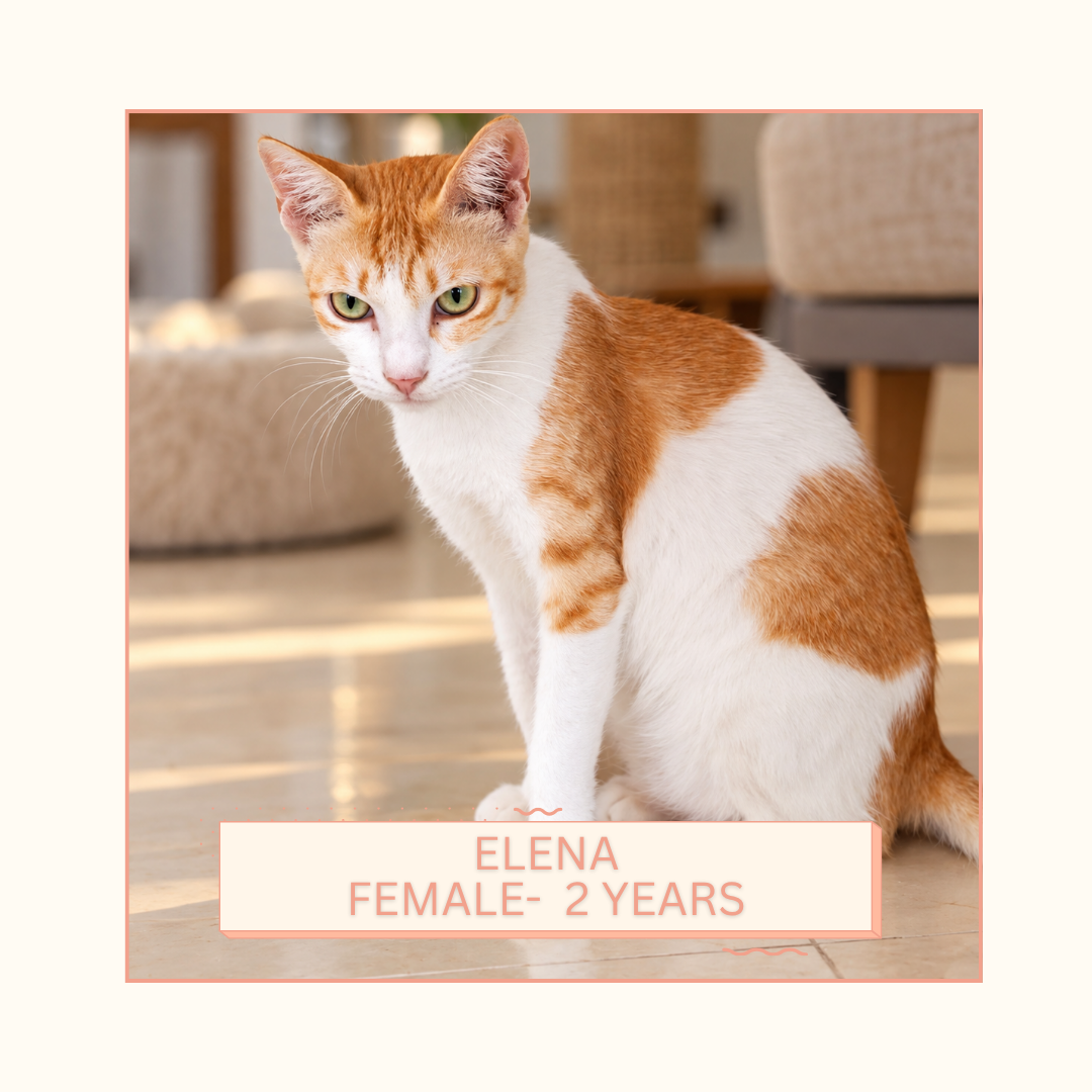 Elena