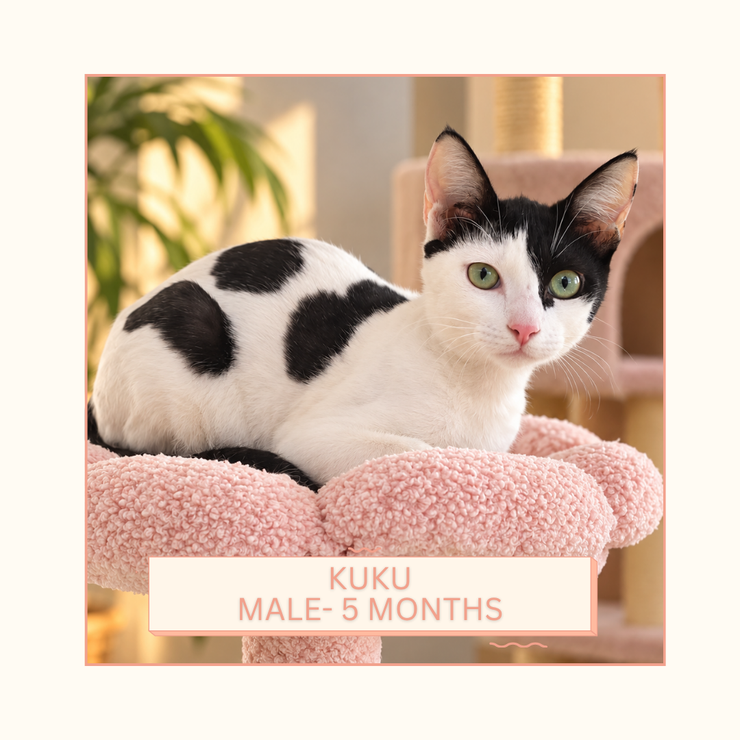 KuKu