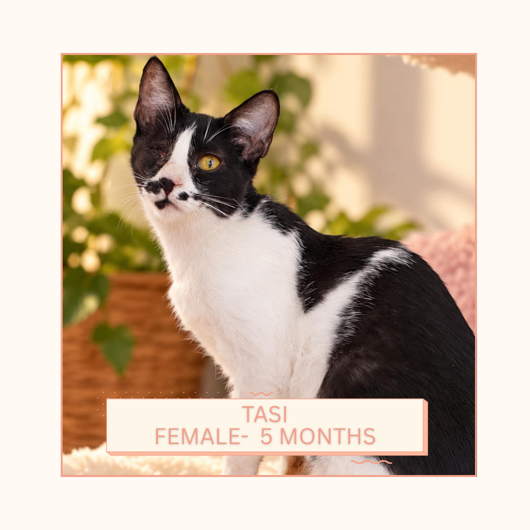 TASI