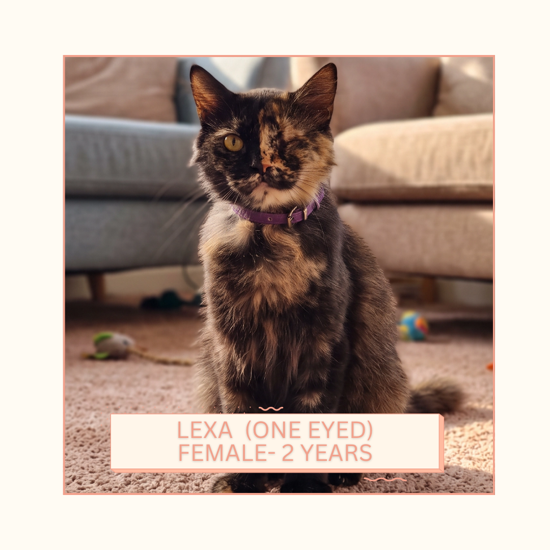 Lexa