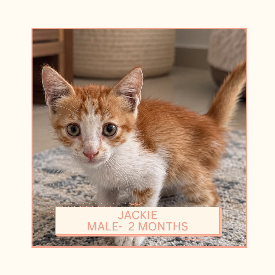 Jackie