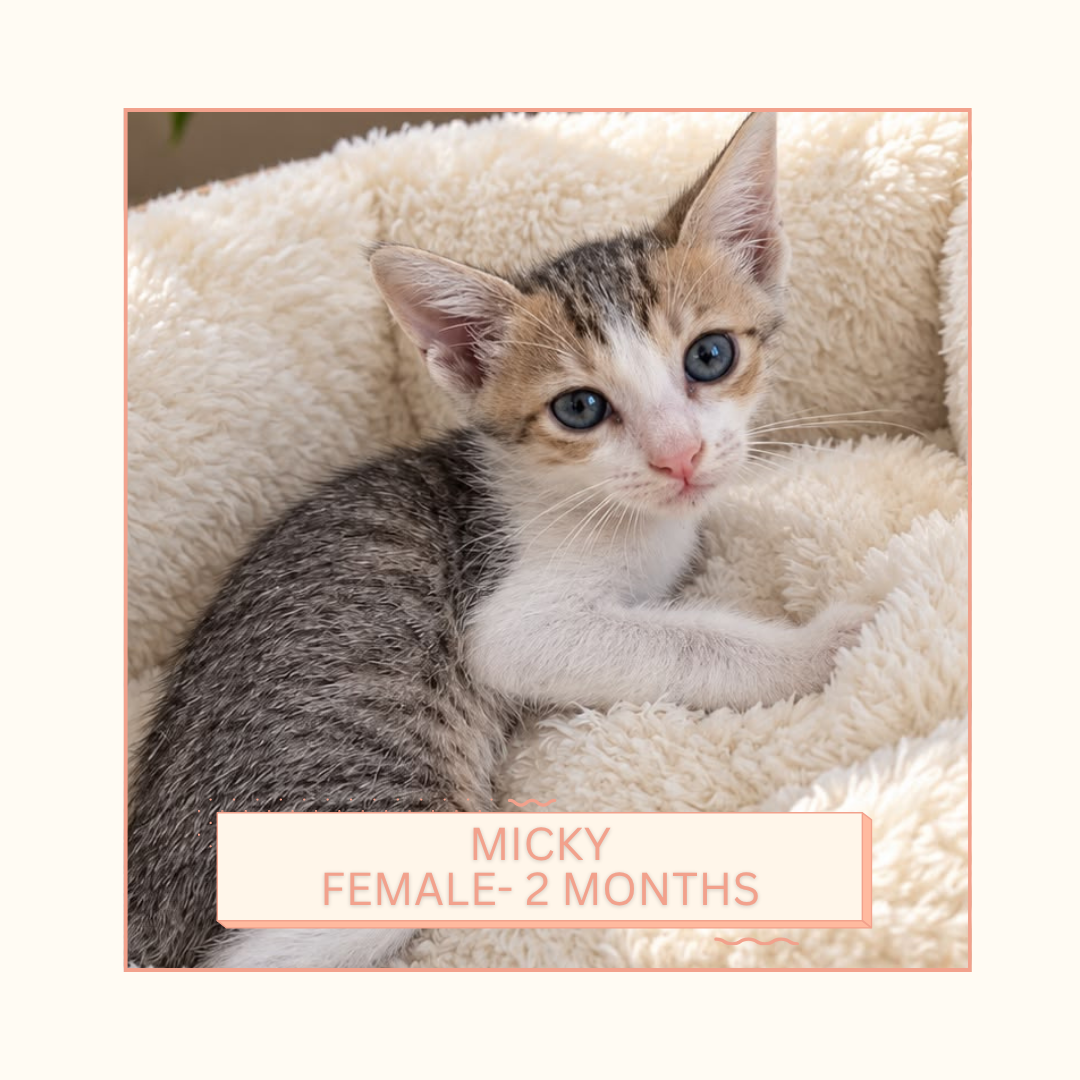 Micky